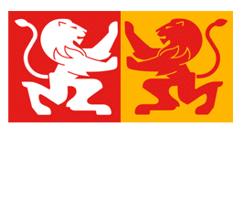 Campus Virtual Los Leones